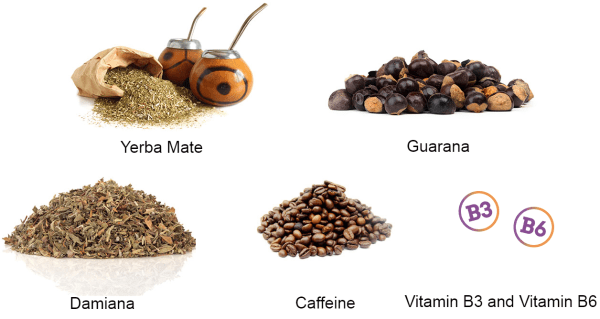 zotrim ingredients natural ingredients of zotrim