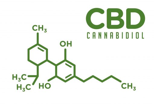 Buy Organic CBD Online