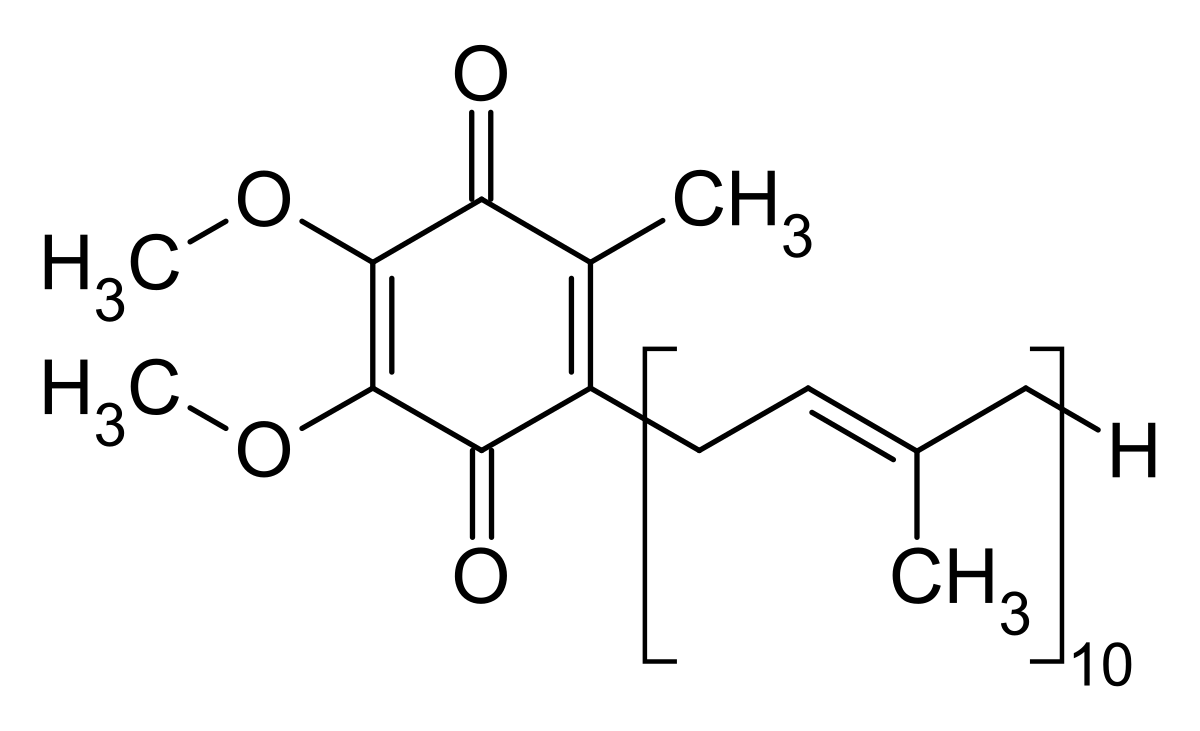 Co-Enzyme Q10 (ubiquinone) BlackWolf