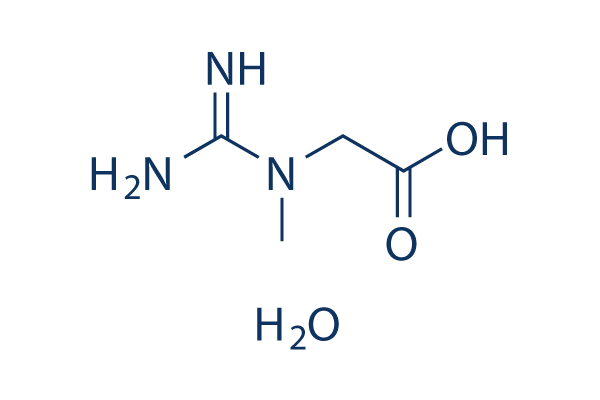 Creatine Monohydrate BlackWolf