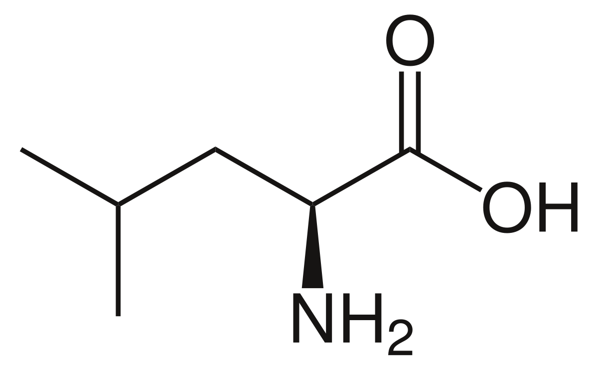 Leucine BlackWolf