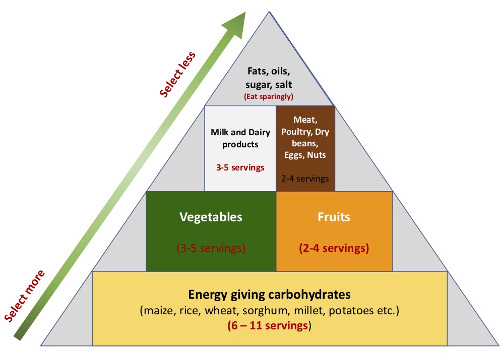 Food pyramid. Healthy nutrition to strengthen the immune system against coronavirus Food pyramid. Healthy nutrition to strengthen the immune system against corona virus