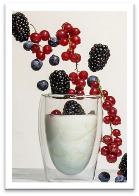 PathtoStrongerImmuneSystemeBookFinal Page 11 Image 0001 Probiotics and fermented foods