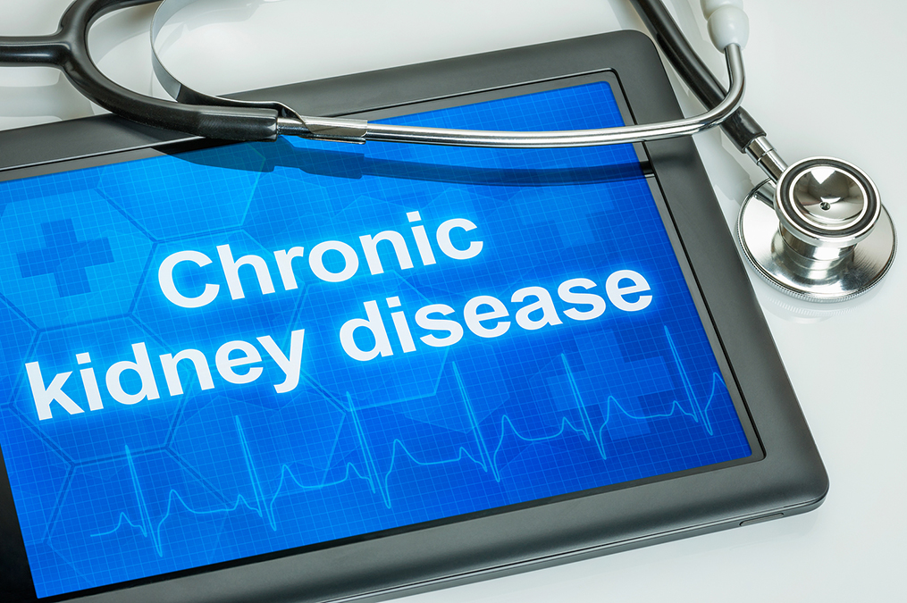 Chronic Kidney Disease 270444217 What is The Chronic Kidney Disease Solution?