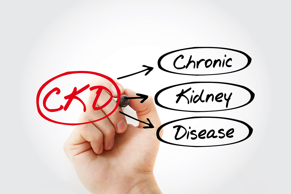 Chronic Kidney Disease 347218882 How Does The Chronic Kidney Disease Solution Work?