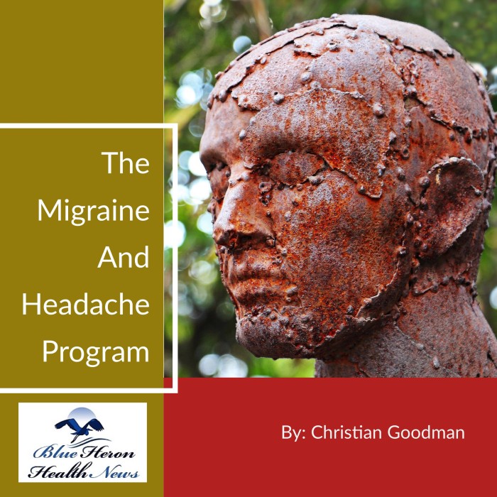 The Migraine and Headache Program PDF eBook by Christian Goodman