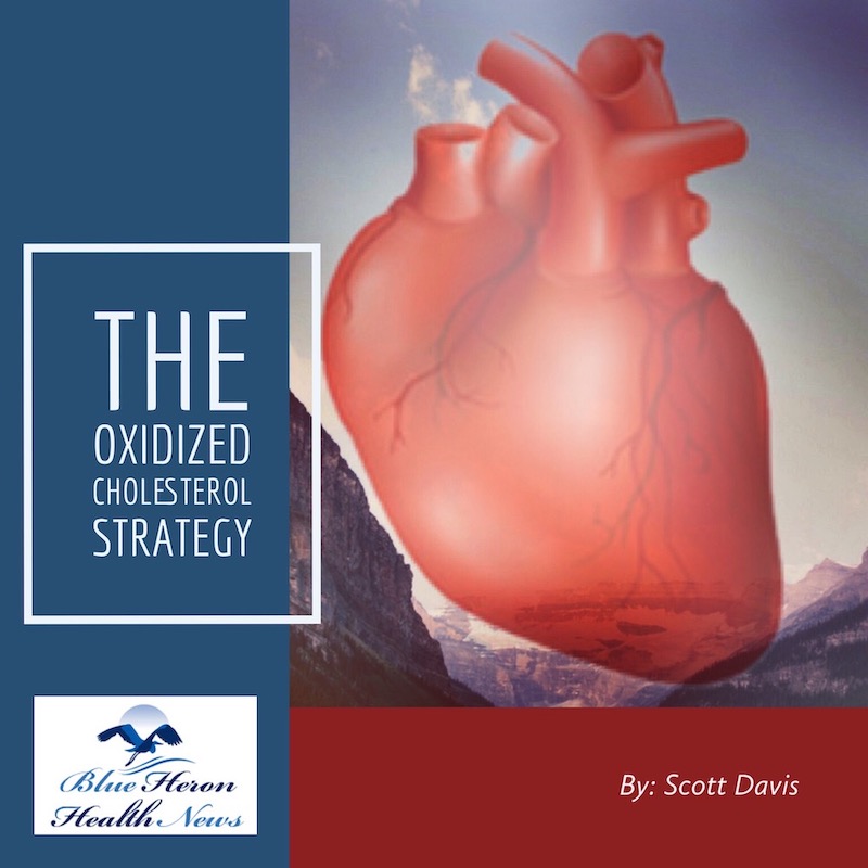 The Oxidized Cholesterol Strategy PDF eBook Scott Davis Book The Oxidized Cholesterol Strategy PDF eBook Scott Davis Book